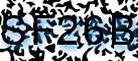 grafischer Sicherheitscode