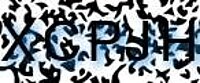 grafischer Sicherheitscode