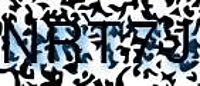 grafischer Sicherheitscode