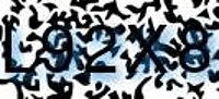 grafischer Sicherheitscode