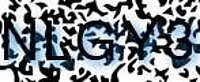 grafischer Sicherheitscode