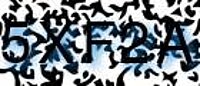 grafischer Sicherheitscode
