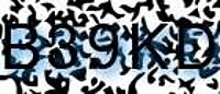 grafischer Sicherheitscode