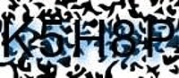 grafischer Sicherheitscode