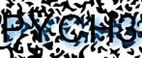 grafischer Sicherheitscode