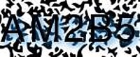 grafischer Sicherheitscode