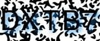 grafischer Sicherheitscode