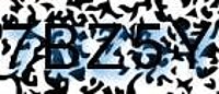 grafischer Sicherheitscode