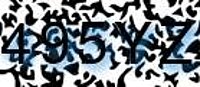 grafischer Sicherheitscode