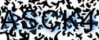 grafischer Sicherheitscode