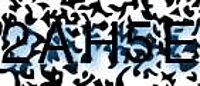 grafischer Sicherheitscode