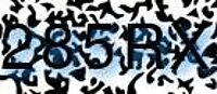grafischer Sicherheitscode