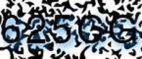 grafischer Sicherheitscode