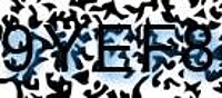 grafischer Sicherheitscode