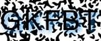 grafischer Sicherheitscode