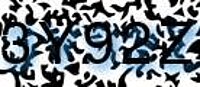 grafischer Sicherheitscode