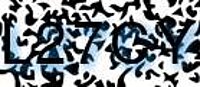 grafischer Sicherheitscode