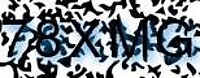 grafischer Sicherheitscode