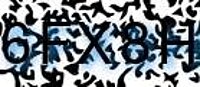 grafischer Sicherheitscode