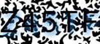 grafischer Sicherheitscode