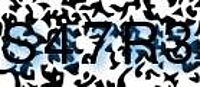 grafischer Sicherheitscode