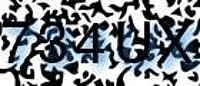 grafischer Sicherheitscode