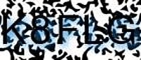 grafischer Sicherheitscode