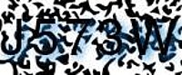 grafischer Sicherheitscode