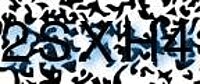 grafischer Sicherheitscode