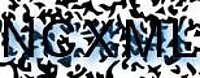 grafischer Sicherheitscode
